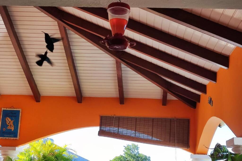 Villa Anolis, Sainte Luce, Piscine, Vue Mer, 4* Esterno foto